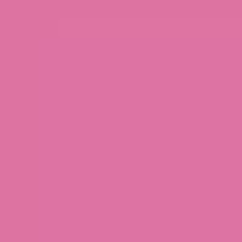 Premium Multi-Surface Gloss Farmers Daughter Spray Paint - 10 Oz - Pink