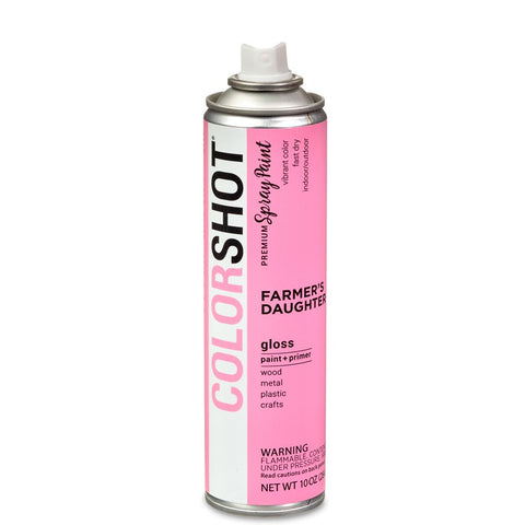 Premium Multi-Surface Gloss Farmers Daughter Spray Paint - 10 Oz - Pink
