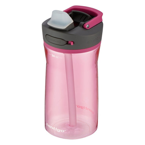 Ashland 2.0 Tritan Water Bottle with AUTOSPOUT Straw Lid Pink, 24 Fl Oz.